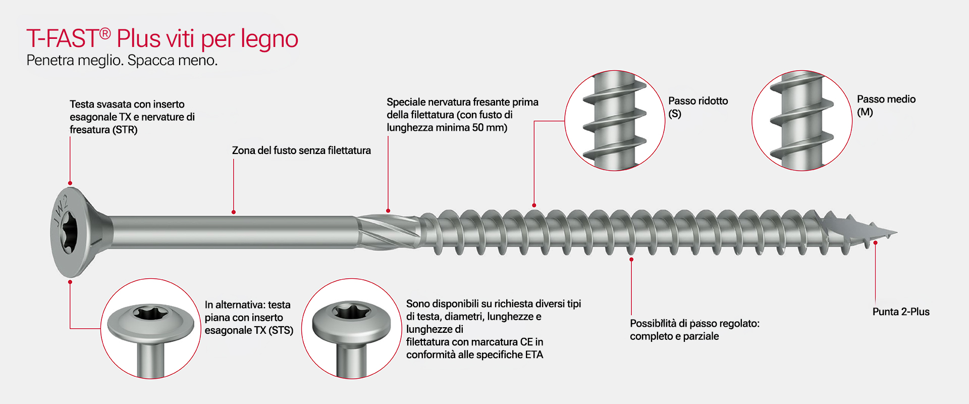 T_FAST-immagine-descrittiva2.jpg