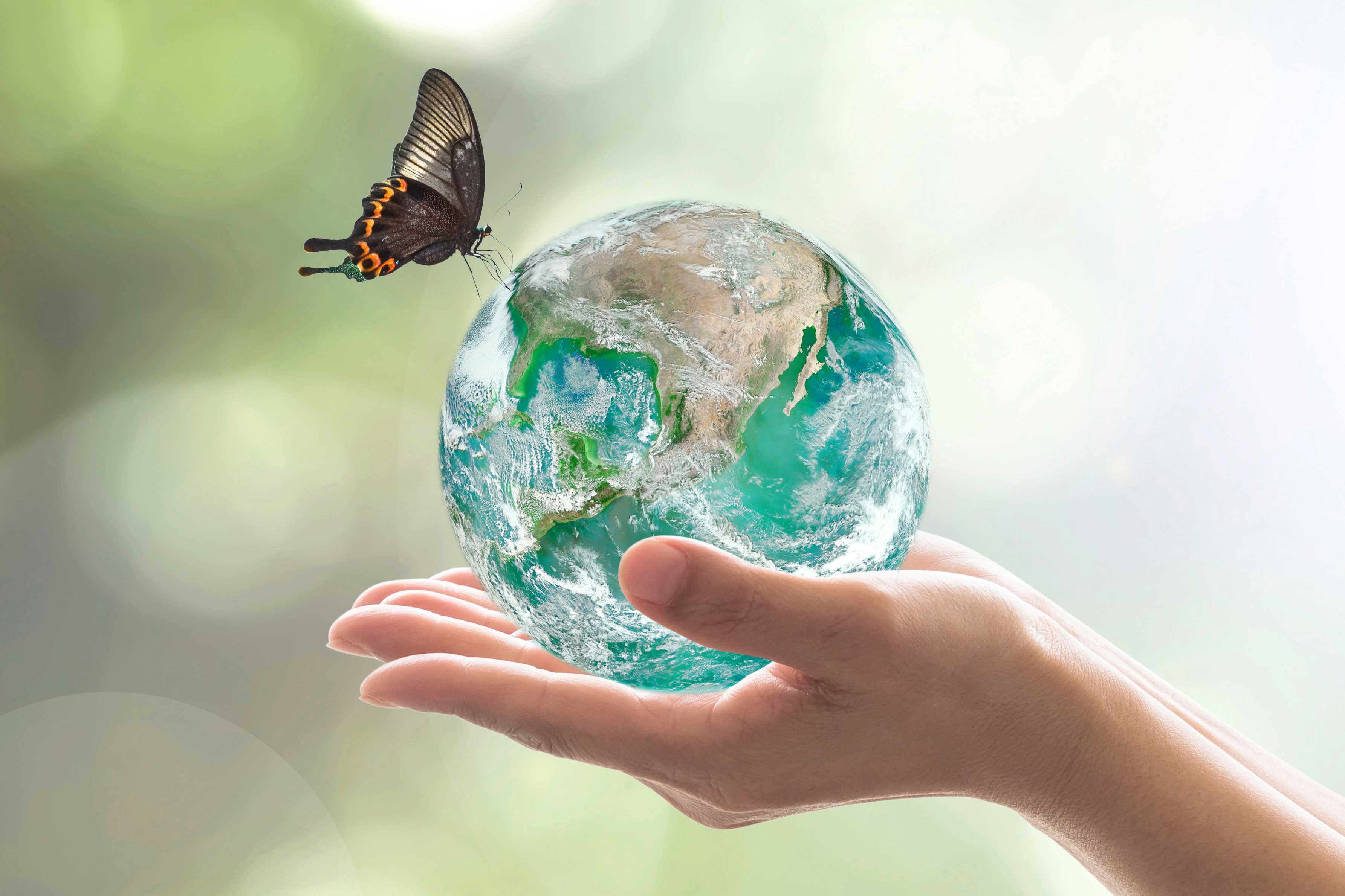 carbon-footprint-umwelt.jpg