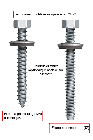 Comp-viti-autoformanti10x6.png